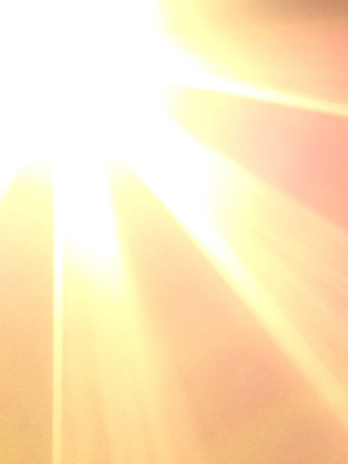Protection solaire THE GREY