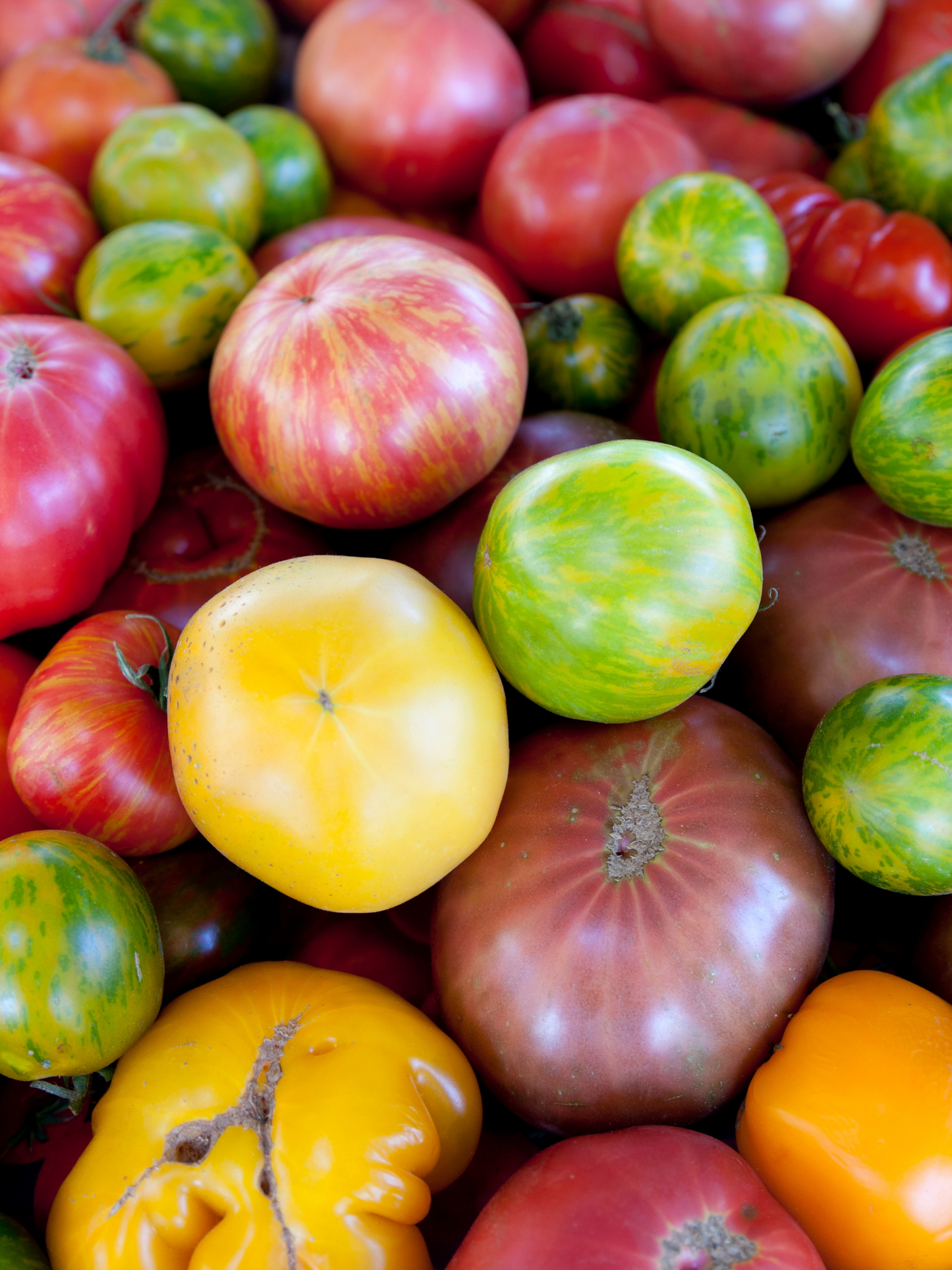 Chandelles parfumées Tomate CARRIÈRE FRÈRES