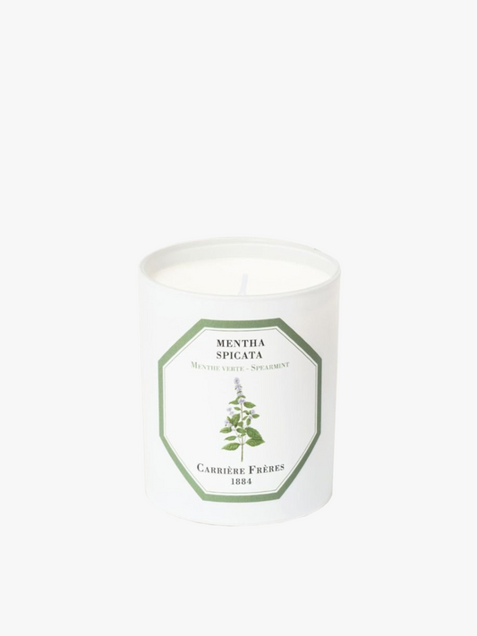 Bougie Menthe CARRIÈRE FRÈRES