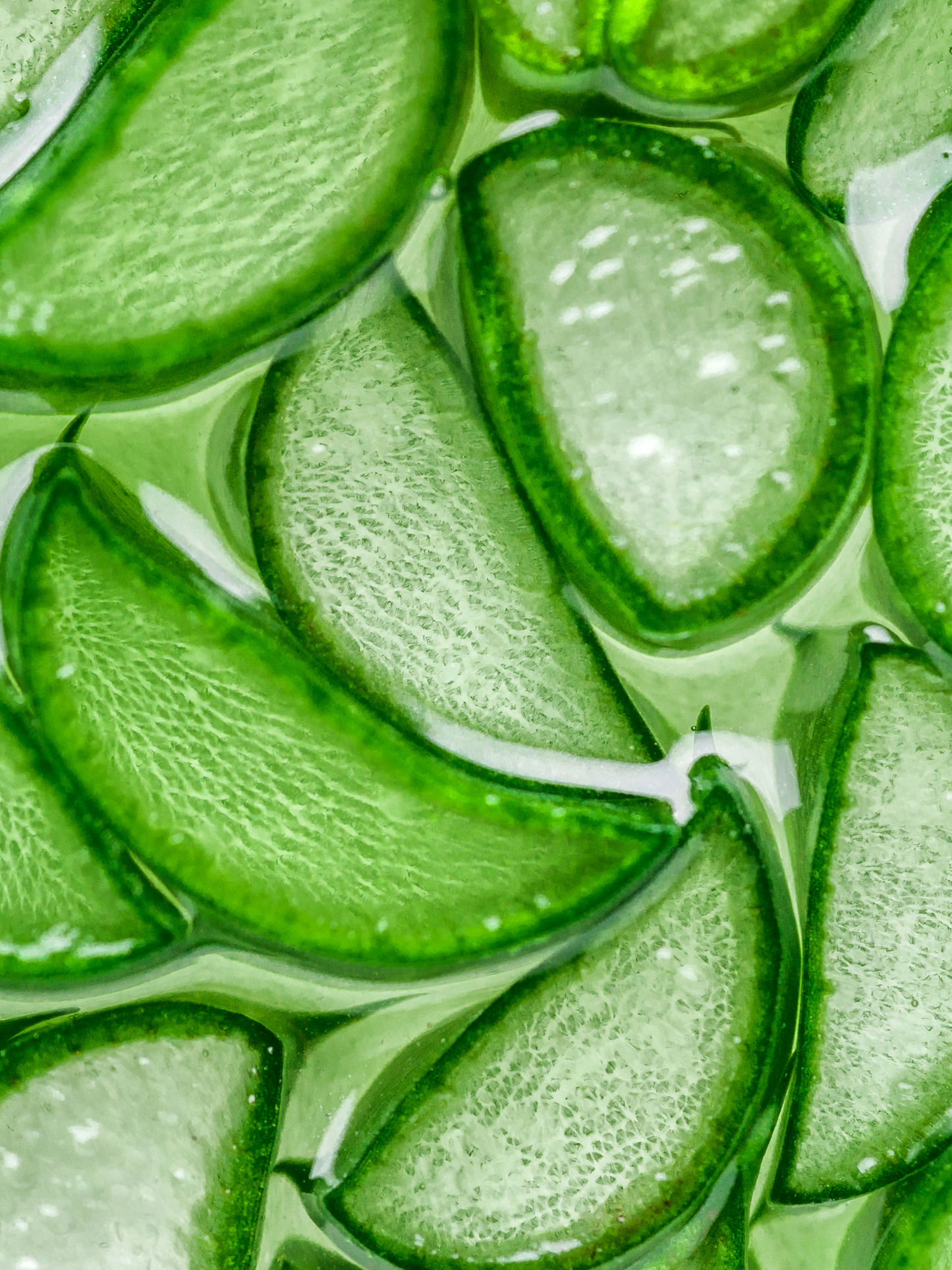 Shampoing hydratant à l'aloe vera CHRISTOPHE ROBIN